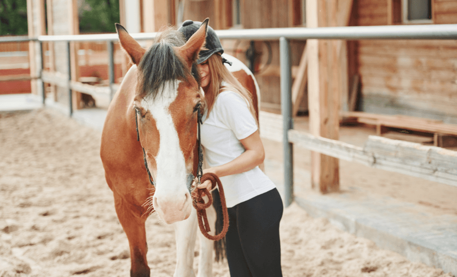 assurance demi pension cheval