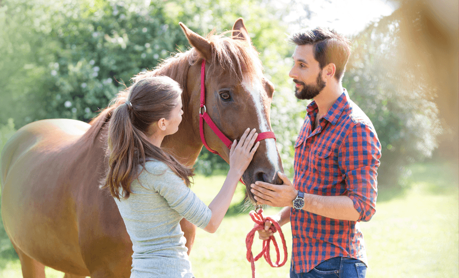 assurance demi pension