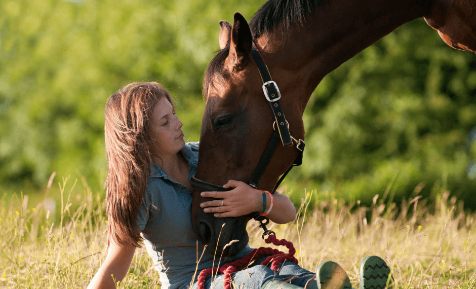 Demi-Pension Cheval pour Débutant : Le Guide Complet 2026