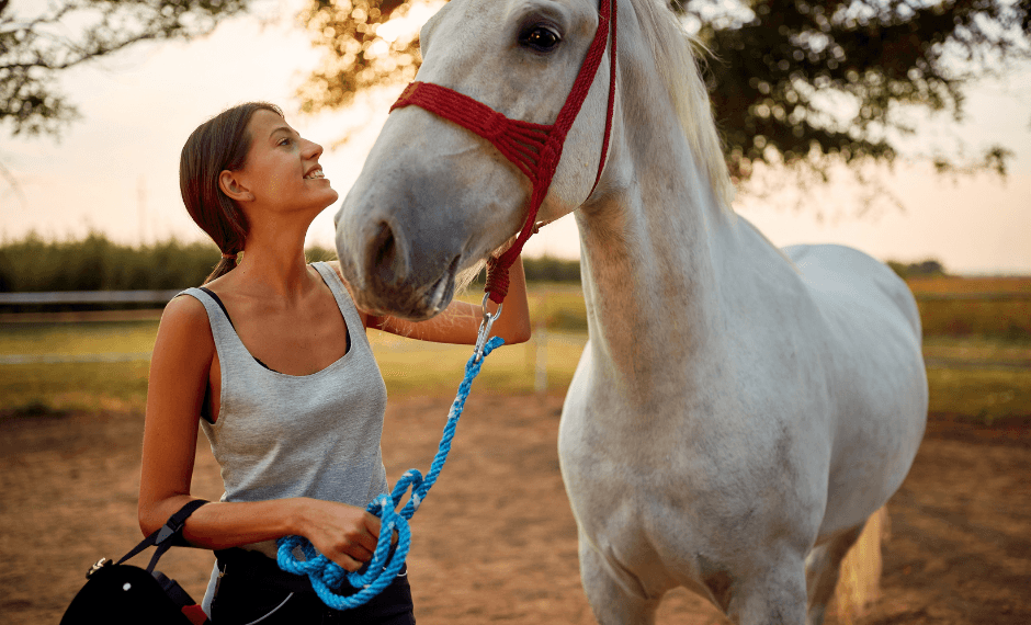 Un cheval en demi-pension : le compromis parfait
